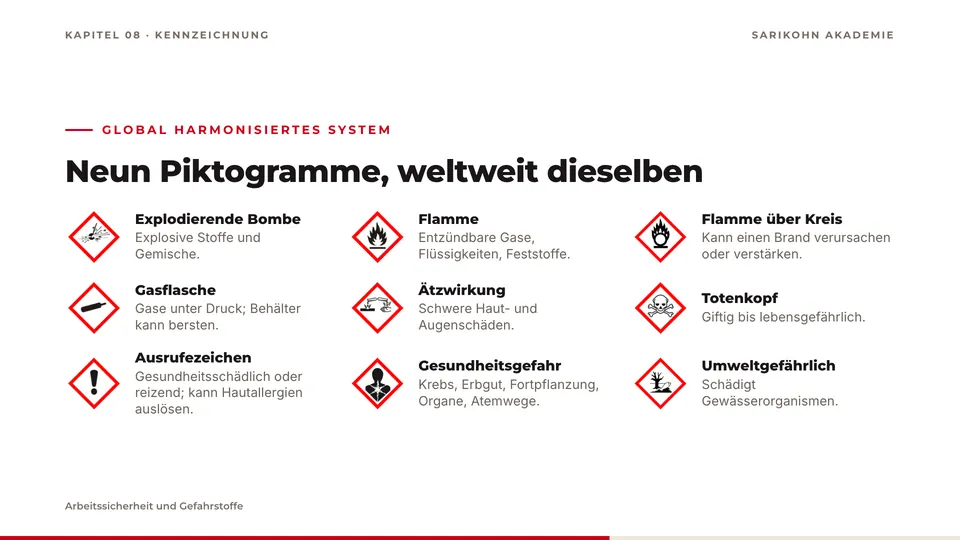 Folie „Neun Piktogramme, weltweit dieselben“: die neun GHS-Gefahrenpiktogramme, je mit Bezeichnung und Bedeutung.