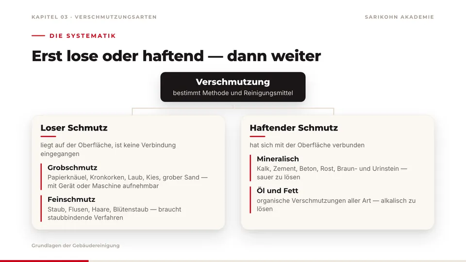 Folie zur Systematik der Verschmutzungsarten: Baumdiagramm, das Verschmutzung in losen Schmutz (Grob- und Feinschmutz) und haftenden Schmutz (mineralisch, Öl und Fett) teilt.